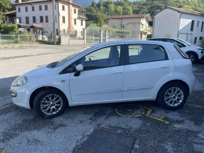 Usata Fiat Punto Evo Active 77 CV (56 kW) 2010 Bianco Utilitaria