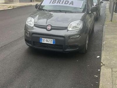 Usata Fiat Panda Cross Cross 69 CV (50 kW) 2022 Other Utilitaria