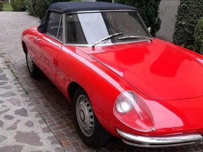 usata Alfa Romeo GT Junior Spider 1300osso di seppia Osso di Seppia 1600 Asi