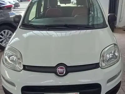 Usata Fiat Panda Easy 69 CV (50 kW) 2020 Bianco Utilitaria