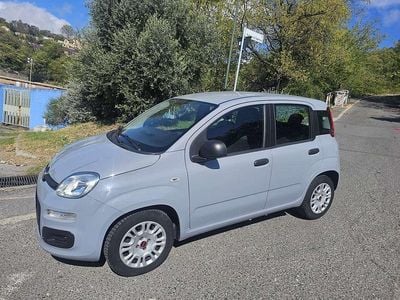 Usata Fiat Panda Easy 69 CV (50 kW) 2017 Grigio Utilitaria