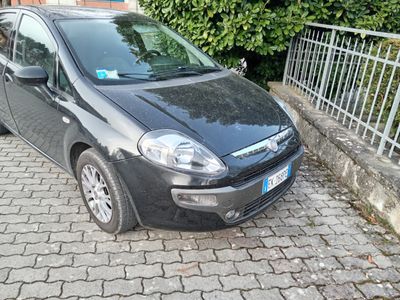 usata Fiat Punto Evo 1.3 multijet 95 cv