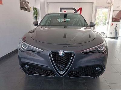 Usata Alfa Romeo Stelvio Business 160 CV (117 kW) 2019 Grigio SUV