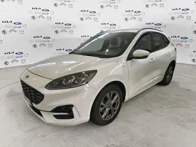 Usata Ford Kuga ST-Line X 120 CV (88 kW) 2022 Bianco SUV