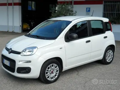 Usata Fiat Panda Easy 69 CV (50 kW) 2020 Bianco Utilitaria
