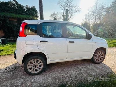 Usata Fiat Panda 80 CV (58 kW) 2015 Bianco Utilitaria