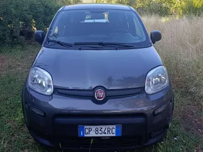 Usata Fiat Panda 150 CV (110 kW) 2024 Grigio Utilitaria