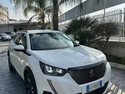 Brugt Peugeot 2008