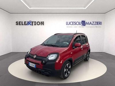 Usata Fiat Panda Cross Cross 69 CV (50 kW) 2025 Rosso Utilitaria