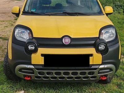 Usata Fiat Panda Cross Cross 95 CV (69 kW) 2014 Utilitaria