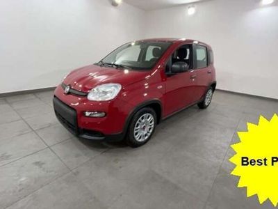 usata Fiat Panda 1.0 firefly hybrid s&s #varicolori