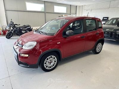 Usata Fiat Panda S 69 CV (50 kW) 2024 Rosso Utilitaria