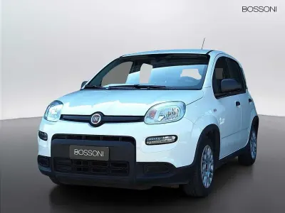 Usata Fiat Panda S 69 CV (50 kW) 2023 Bianco Utilitaria