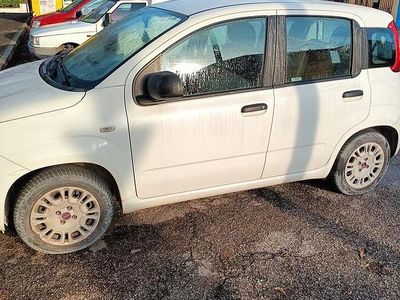 Begagnad Fiat Panda 45 HK (33 kW) 2016 Vit Halvkombi