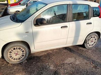 Usata Fiat Panda 2016 Bianco Utilitaria