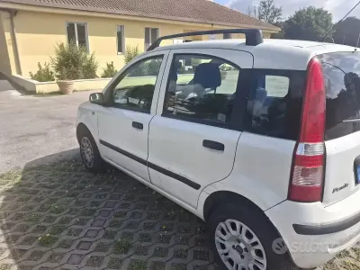 Usata Fiat Panda 60 CV (44 kW) 2009 Bianco Utilitaria