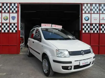 Usata Fiat Panda Dynamic 77 CV (56 kW) 2012 Pastello Utilitaria