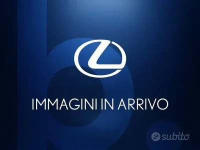 Usata Lexus UX 250h Sport Line 183 CV (134 kW) 2021 Grigio SUV