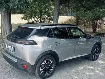Usata Peugeot e-2008