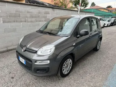 Usata Fiat Panda S 69 CV (50 kW) 2021 Grigio Utilitaria