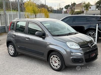 Usata Fiat Panda Easy 69 CV (50 kW) 2019 Grigio Utilitaria