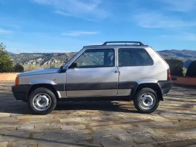 Usata Fiat Panda 4x4 Trekking 54 CV (39 kW) 2002 Argento Utilitaria