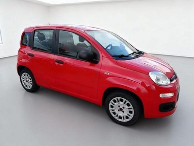 Usata Fiat Panda Easy 69 CV (50 kW) 2019 Utilitaria