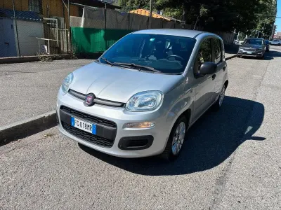 Usata Fiat Panda Easy 69 CV (50 kW) 2016 Grigio Utilitaria