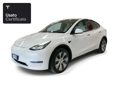 Usata Tesla Model Y Long Range AWD 258 kW (351 CV) 2022 Pearl white multicoat SUV