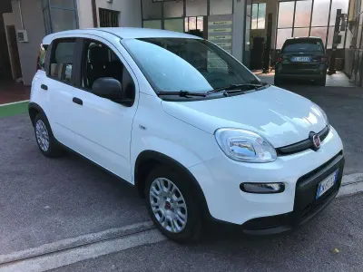 Usata Fiat Panda City Life 70 CV (51 kW) 2023 Bianco Utilitaria