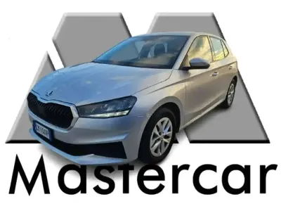 Usata Skoda Fabia