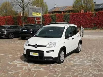 Usata Fiat Panda S 70 CV (51 kW) 2023 Bianco Utilitaria