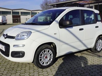 usata Fiat Panda New1.2 Easy Van Autocarro 4 posti Euro 6D