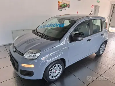 Usata Fiat Panda S 70 CV (51 kW) 2021 Grigio Utilitaria