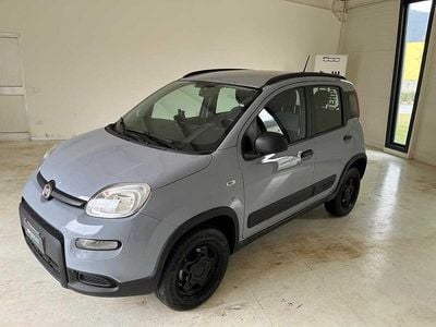 Usata Fiat Panda 4x4 Wild 84 CV (61 kW) 2021 Grigio Utilitaria