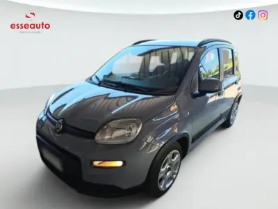 Usata Fiat Panda City Life 69 CV (50 kW) 2023 Grigio Utilitaria