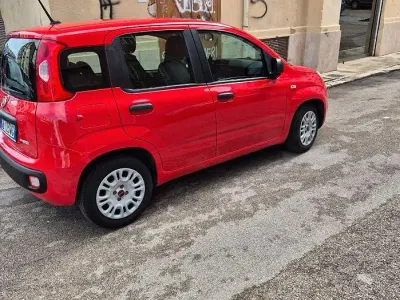 Usata Fiat Panda 70 CV (51 kW) 2021 Rosso Utilitaria