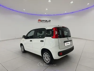 Usata Fiat Panda Easy 69 CV (50 kW) 2020 Bianco Berlina