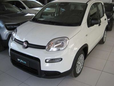 Usata Fiat Panda Red 69 CV (50 kW) 2024 Bianco Utilitaria