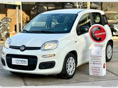 Usata Fiat Panda S 70 CV (51 kW) 2021 Bianco Utilitaria