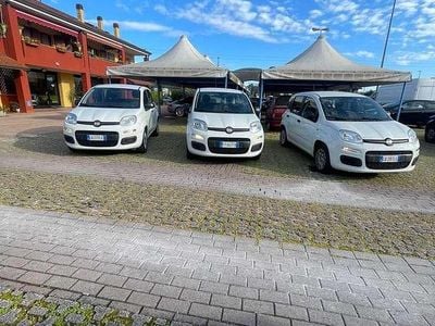 Usata Fiat Panda Easy 69 CV (50 kW) 2020 Bianco Utilitaria