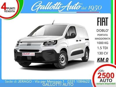 usata Fiat Doblò 1.5 BlueHdi 130CV PC-TN Van Portata Maggior