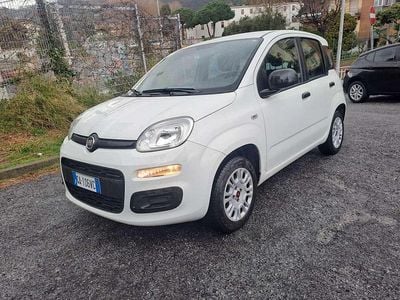 Usata Fiat Panda Easy 69 CV (50 kW) 2020 Bianco gelato Utilitaria