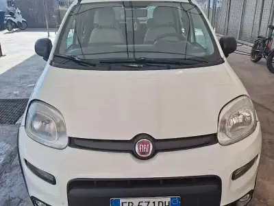 Usata Fiat Panda Trekking 85 CV (62 kW) 2013 Giallo Utilitaria