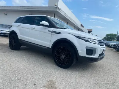 Usata Land Rover Range Rover evoque Pure 150 CV (110 kW) 2016 Bianco SUV