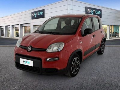 usata Fiat Panda 1.0 FireFly 70cv S&S Hybrid City Life City Lif