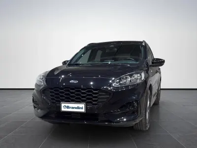 Usata Ford Kuga