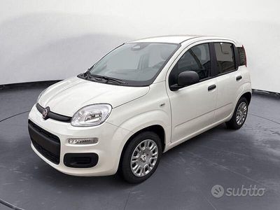 Nuova Fiat Panda Icon 70 CV (51 kW) 2025 Bianco Utilitaria
