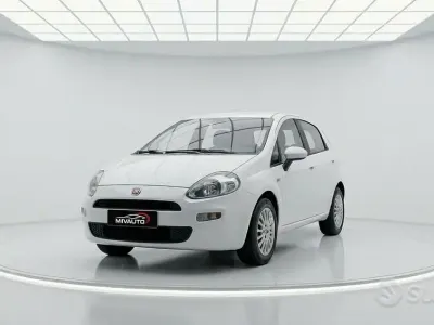 Usata Fiat Punto Lounge 69 CV (50 kW) 2014 Bianco Utilitaria