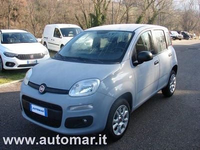 Usata Fiat Panda Easy 71 CV (52 kW) 2019 Grigio Utilitaria